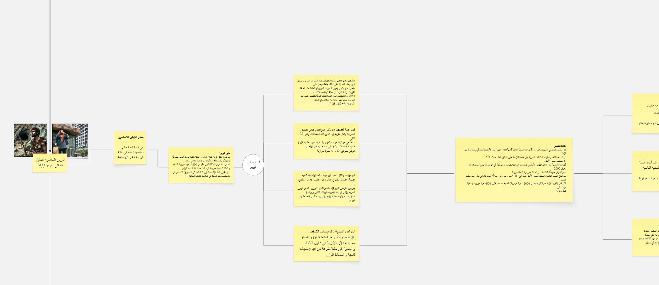 Nutrition Representation & Yo-yo Effect Infographic